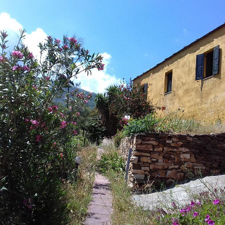 Ikarian Centre - Accommodation & Mountain Hiking Evdilos  Exteriör bild