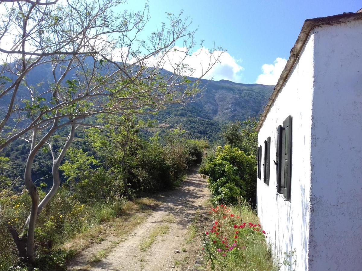 Ikarian Centre - Accommodation & Mountain Hiking Evdilos  Exteriör bild
