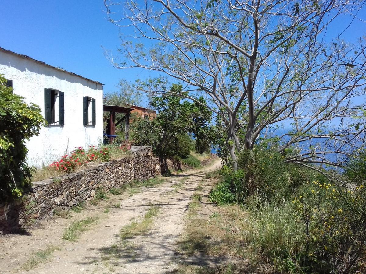 Ikarian Centre - Accommodation & Mountain Hiking Evdilos  Exteriör bild