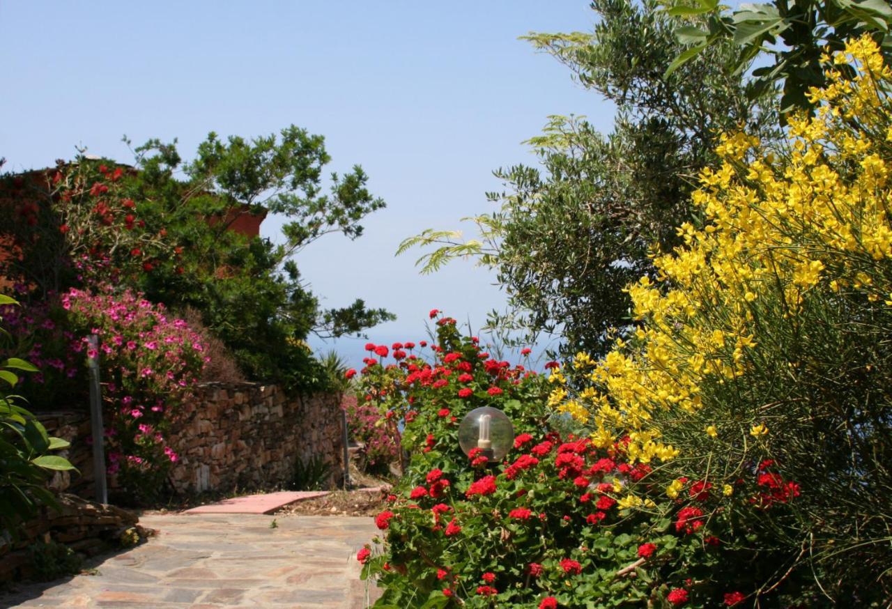 Ikarian Centre - Accommodation & Mountain Hiking Evdilos  Exteriör bild